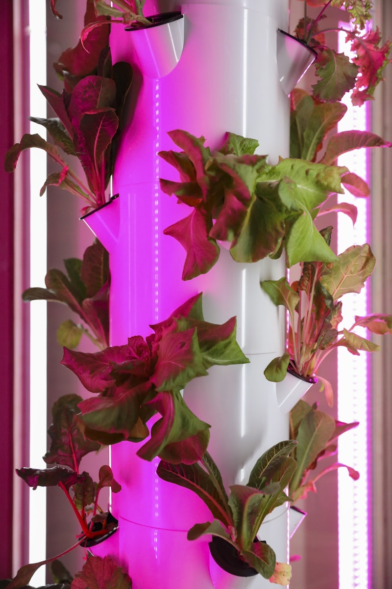 The 5 Best Grow Lights for Indoor Herbs in 2026